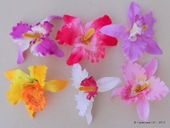 Г.орхидеи d 18 cm